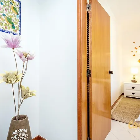 Appartement Clementina *